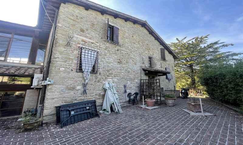 /api/file/public/111701/3589