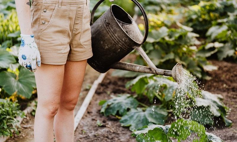 /api/file/public/115201/3700