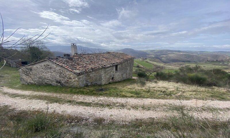 /api/file/public/116801/3735