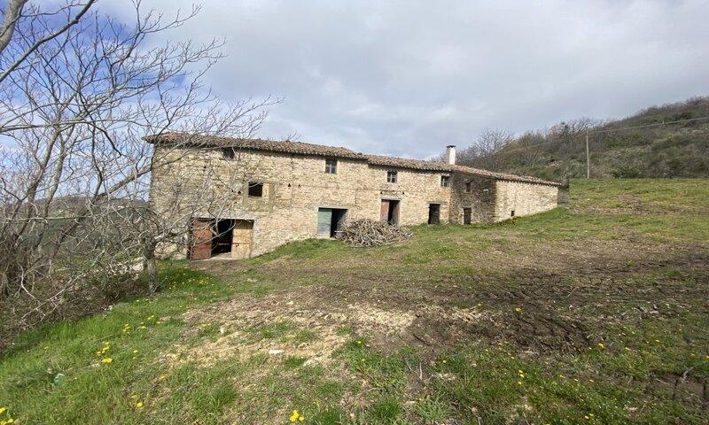 /api/file/public/116801/3736