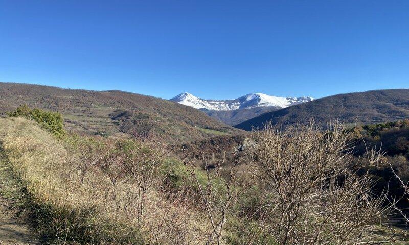 /api/file/public/117151/3749