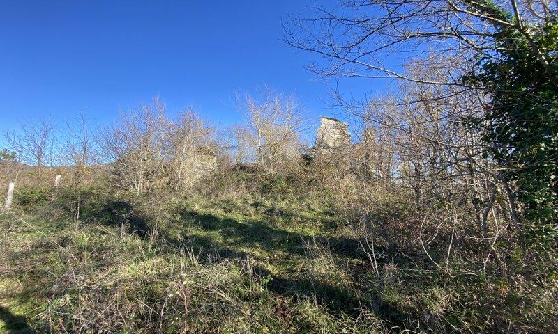 /api/file/public/117151/3750