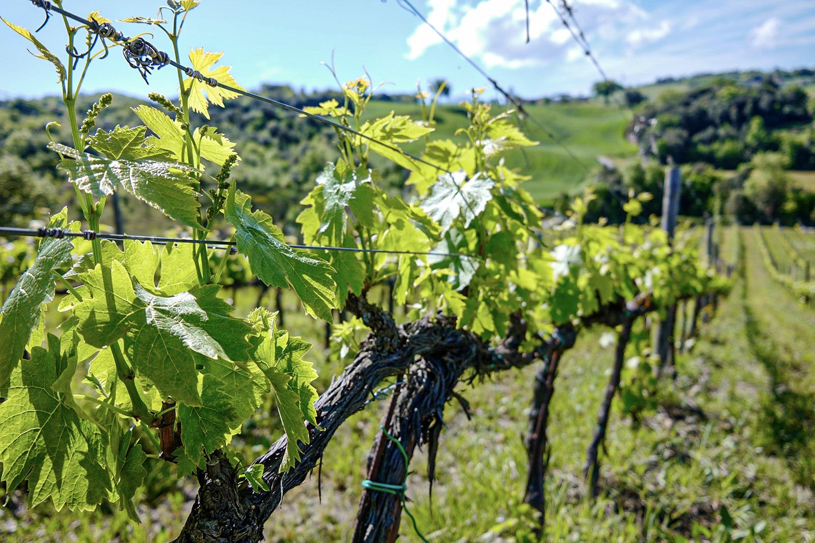 /api/file/public/119051/22075