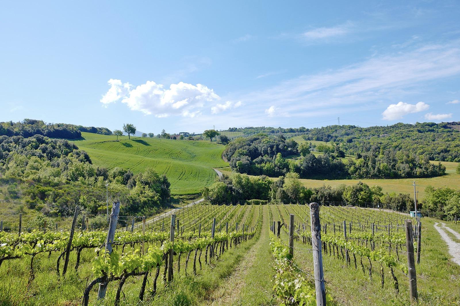 /api/file/public/119051/22076