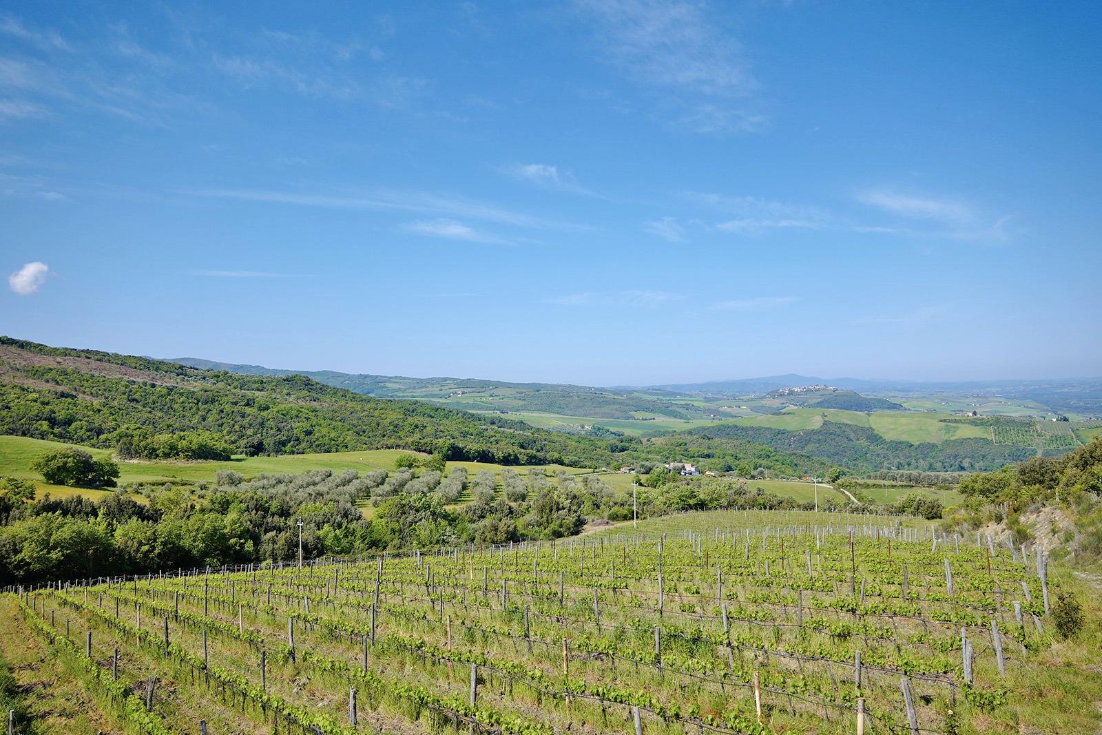 /api/file/public/119051/22082