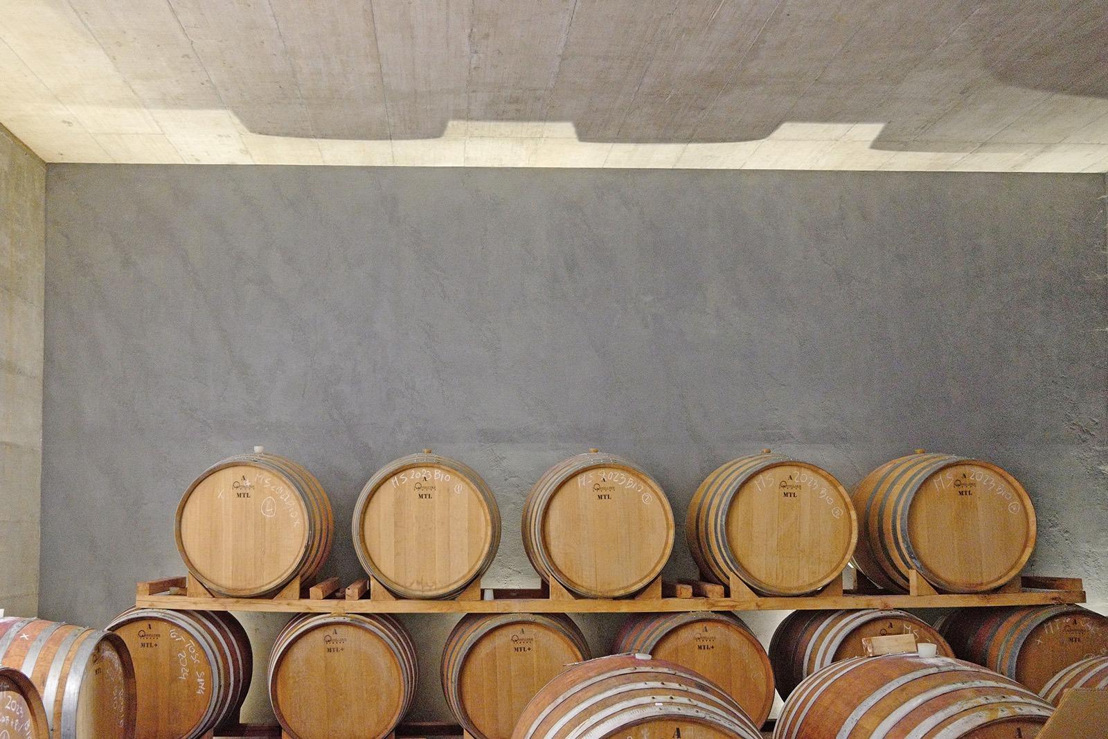 /api/file/public/119051/22083