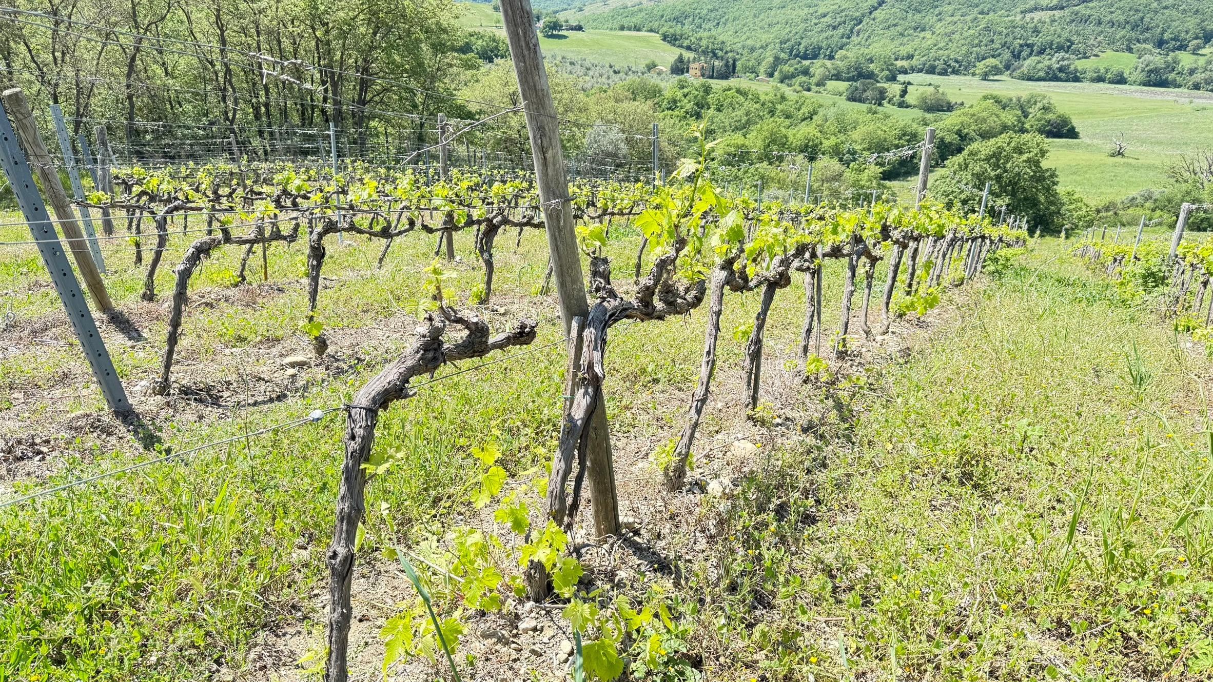 /api/file/public/119051/22086