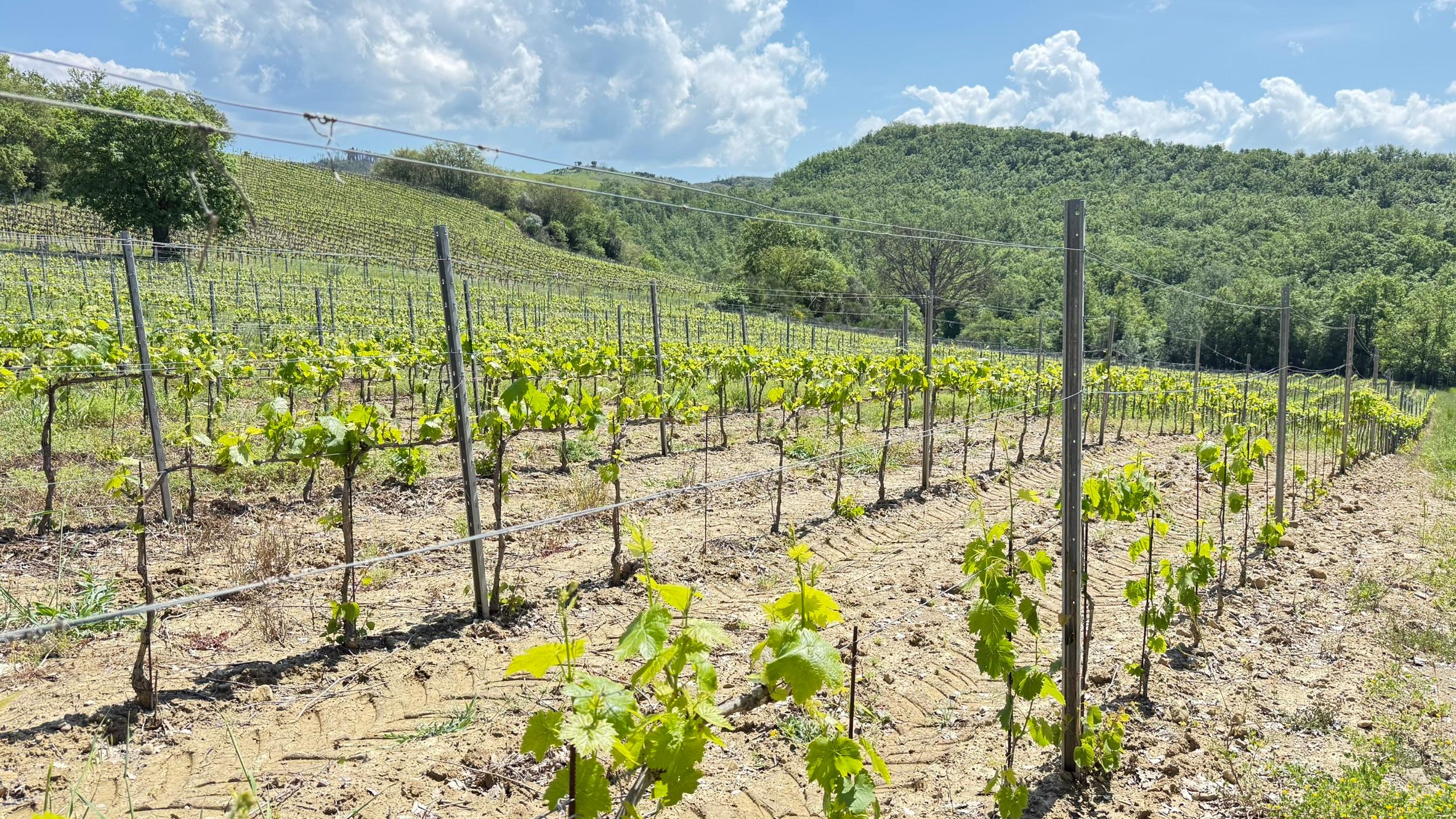 /api/file/public/119051/22087