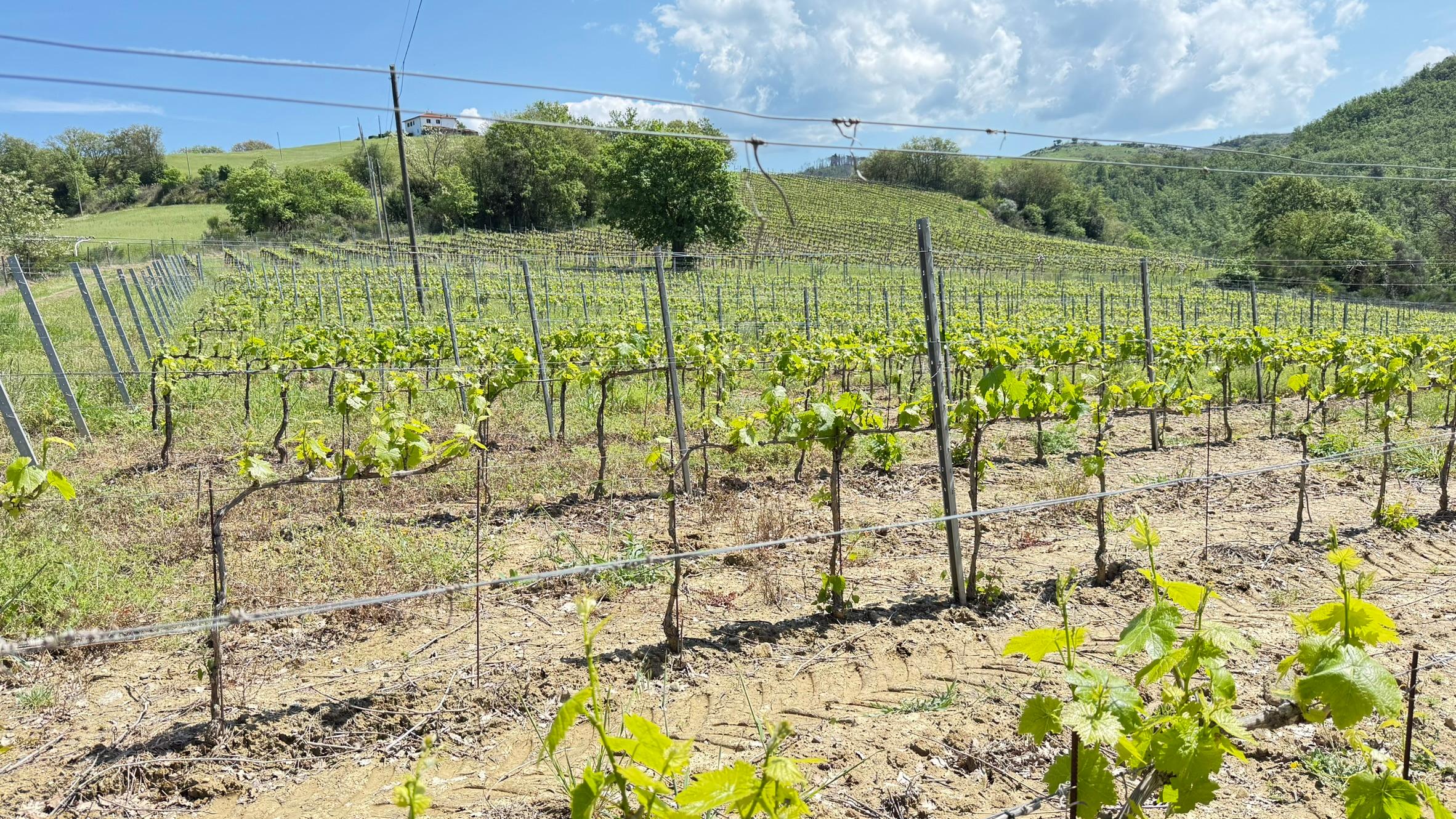 /api/file/public/119051/22088