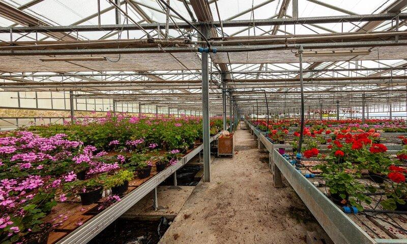 /api/file/public/119201/3870