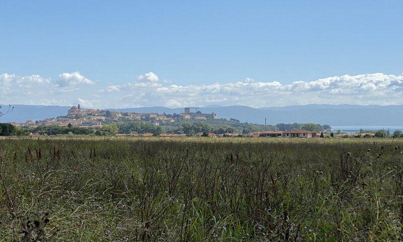 /api/file/public/119251/3872