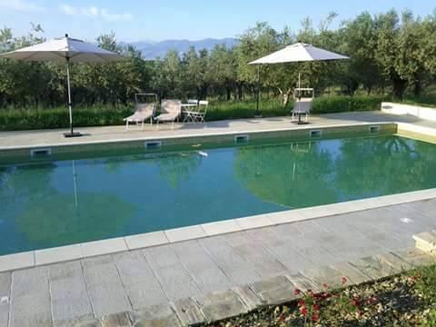 /api/file/public/120151/19550