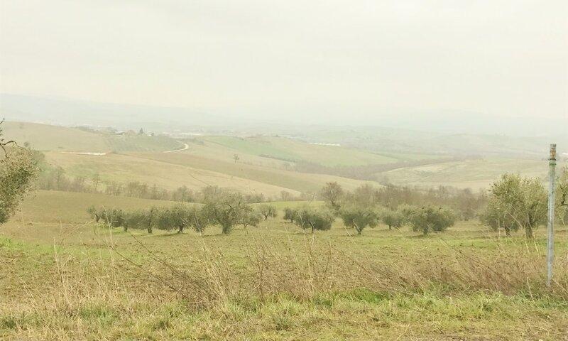 /api/file/public/120351/3920