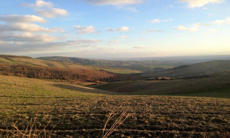 /api/file/public/120451/3923