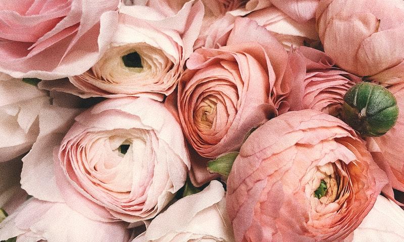 /api/file/public/122251/3982