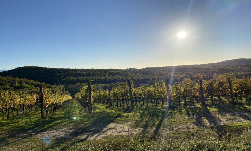 /api/file/public/129701/4249