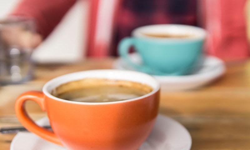 /api/file/public/163351/5398