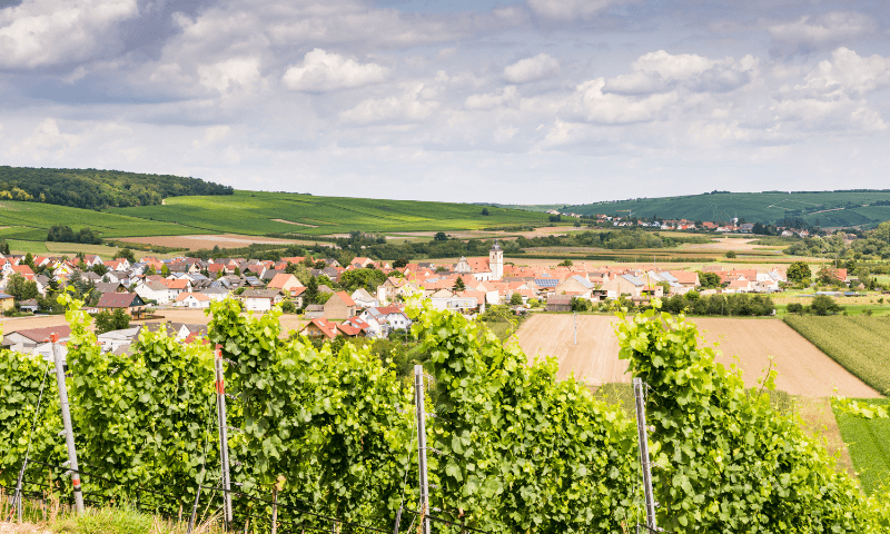 /api/file/public/190201/6239