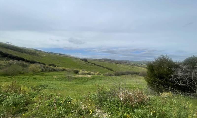 /api/file/public/192001/6288