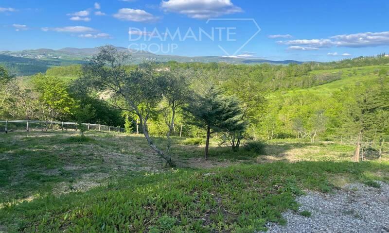 /api/file/public/196951/6475