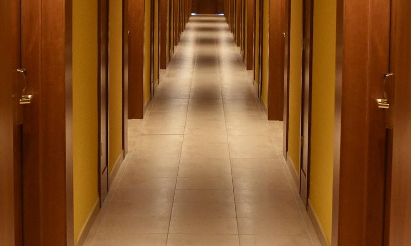 /api/file/public/199251/6551