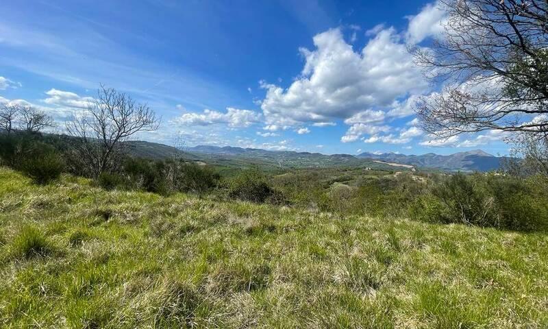 /api/file/public/203401/6860