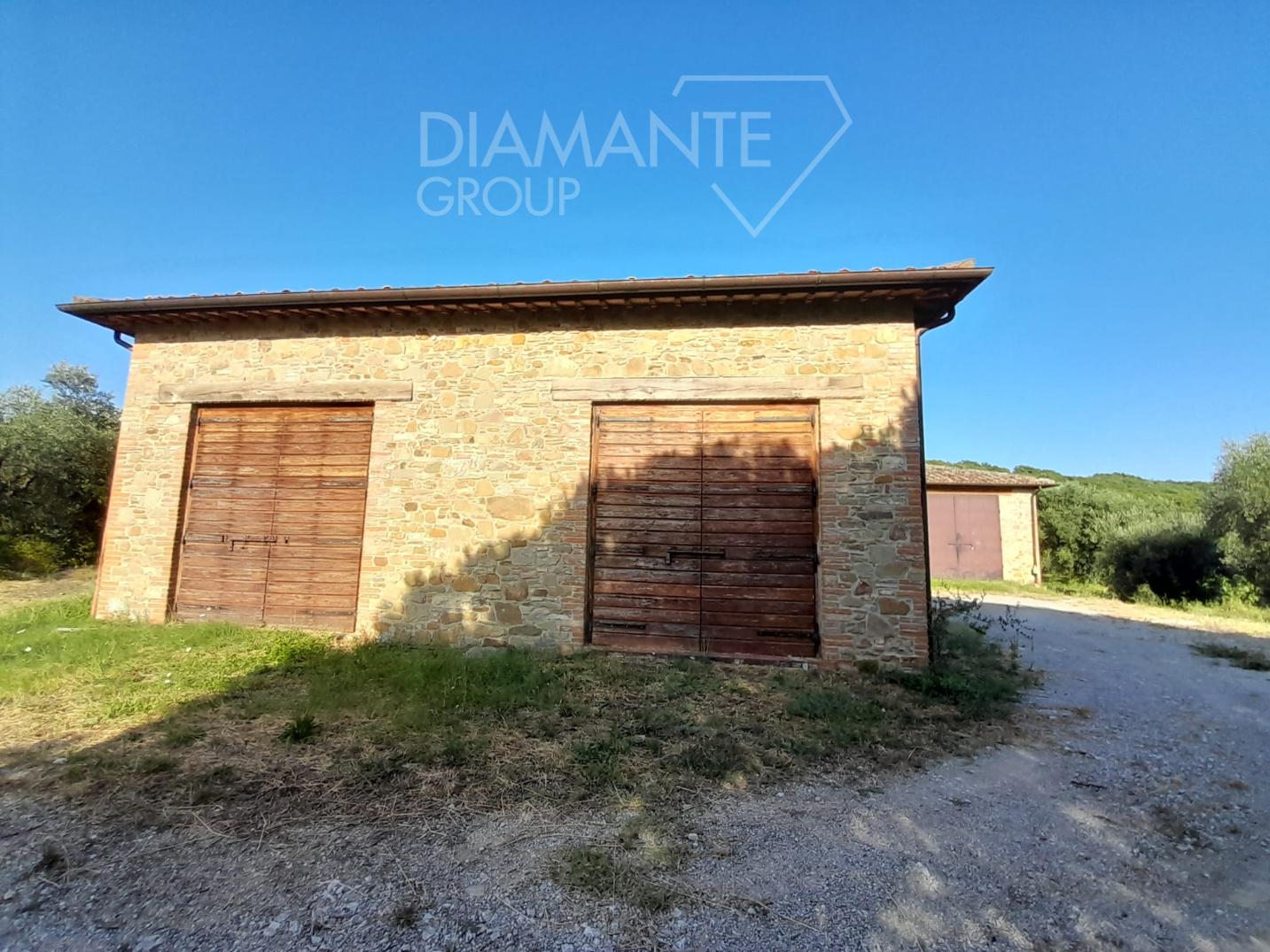 /api/file/public/203451/19531