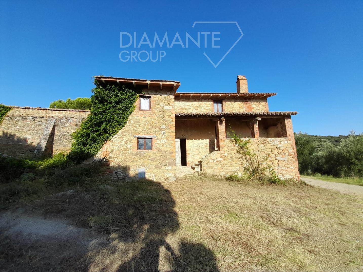 /api/file/public/203451/19536