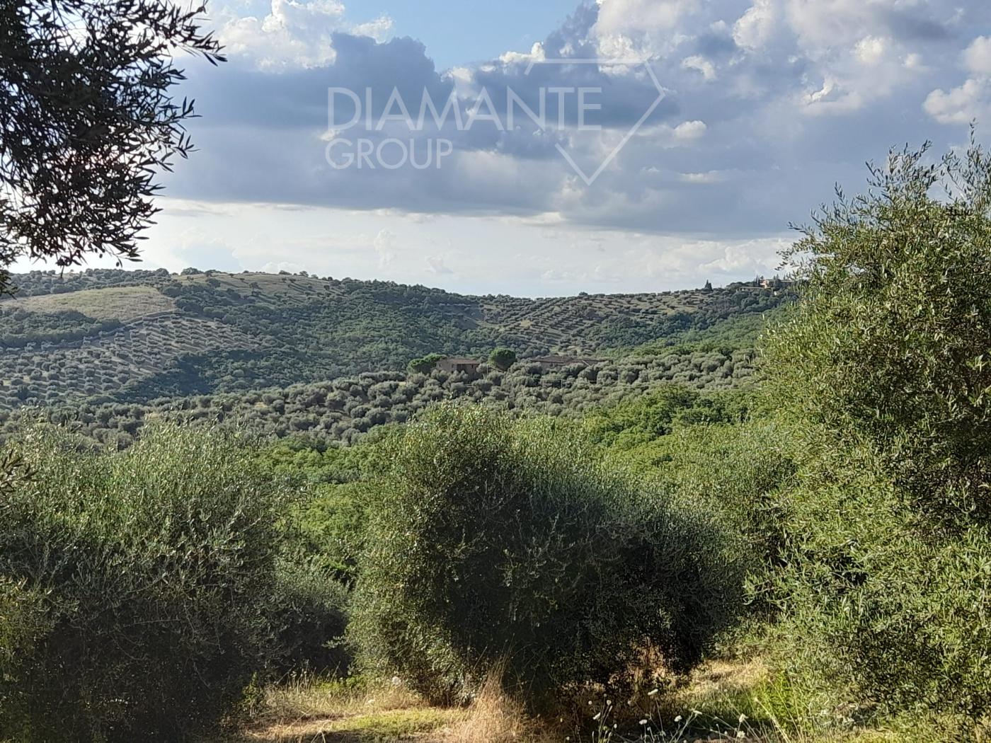 /api/file/public/203451/19538