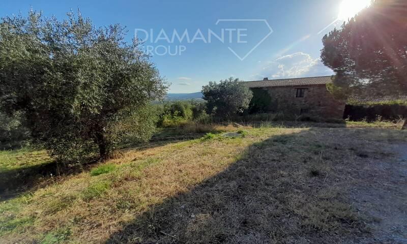 /api/file/public/203451/6861