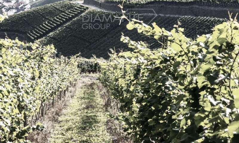 /api/file/public/212351/7314