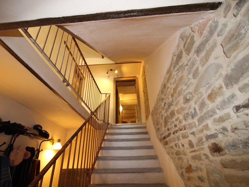 /api/file/public/215701/13299