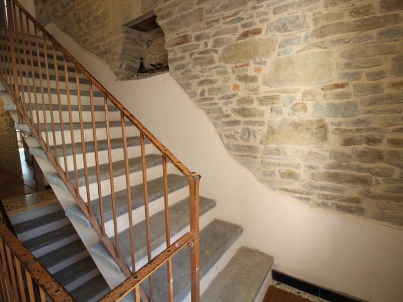 /api/file/public/215701/13305