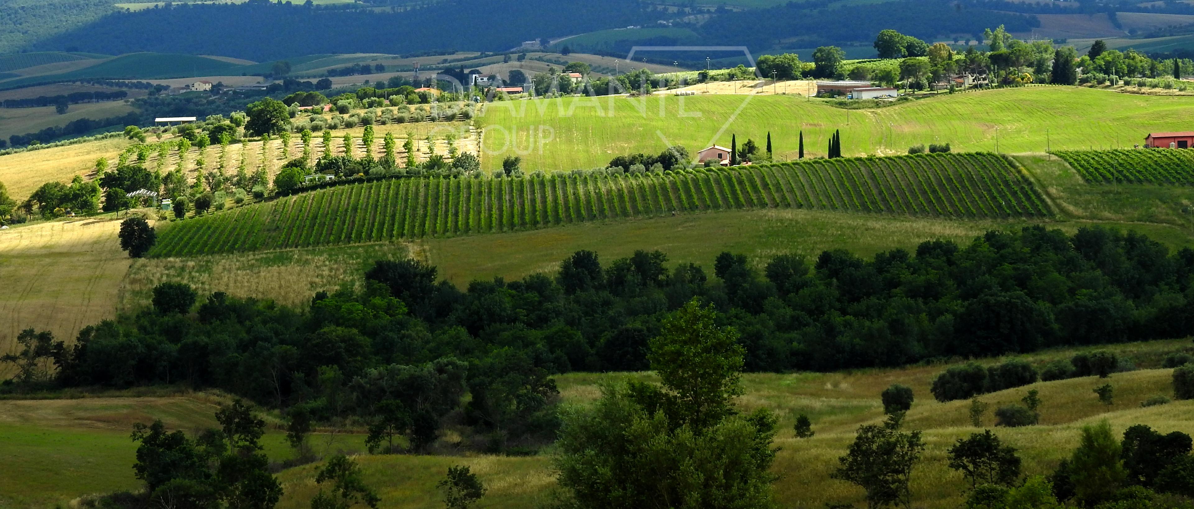 /api/file/public/227101/19516