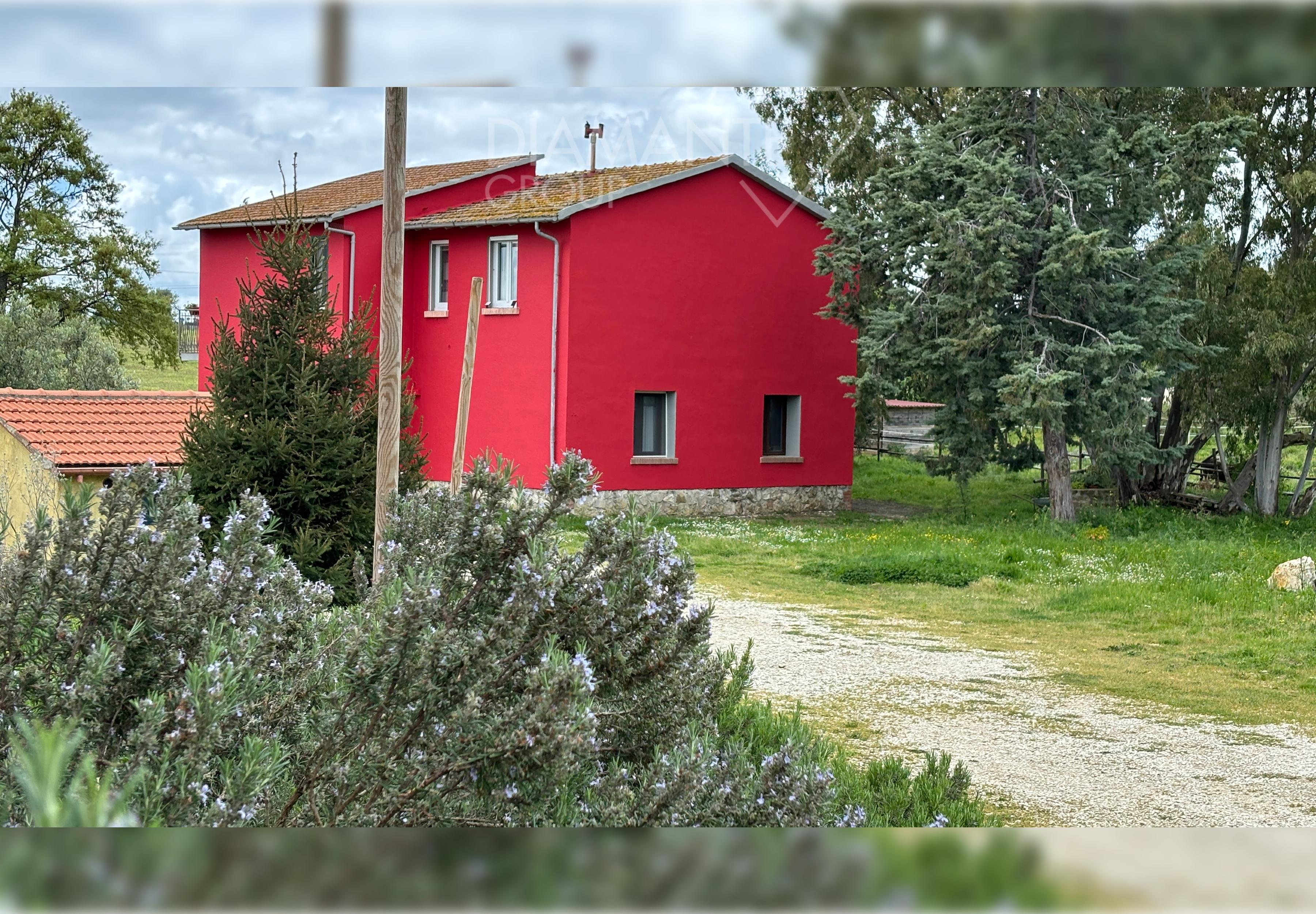 /api/file/public/227101/19519