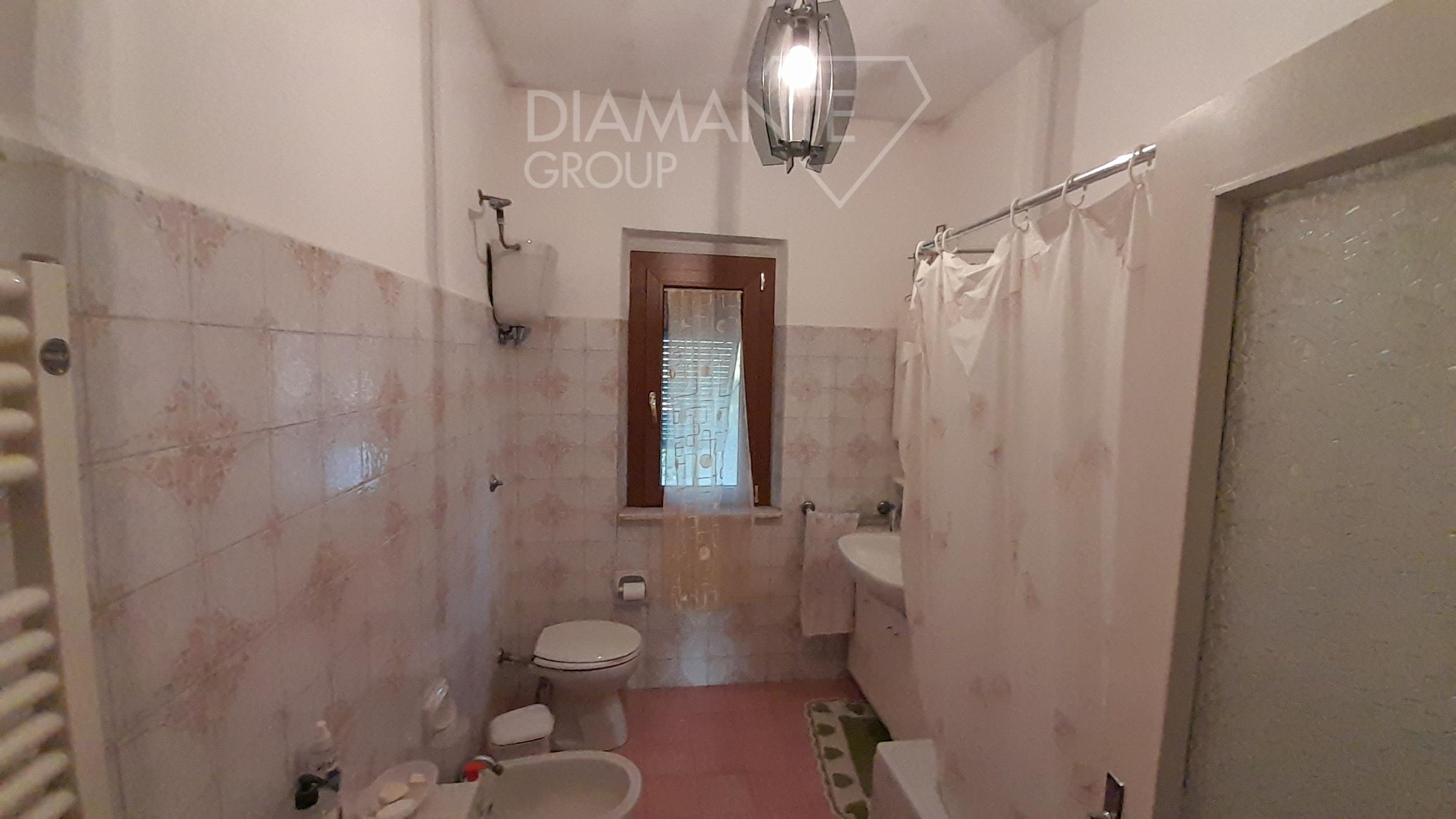 /api/file/public/231551/19541