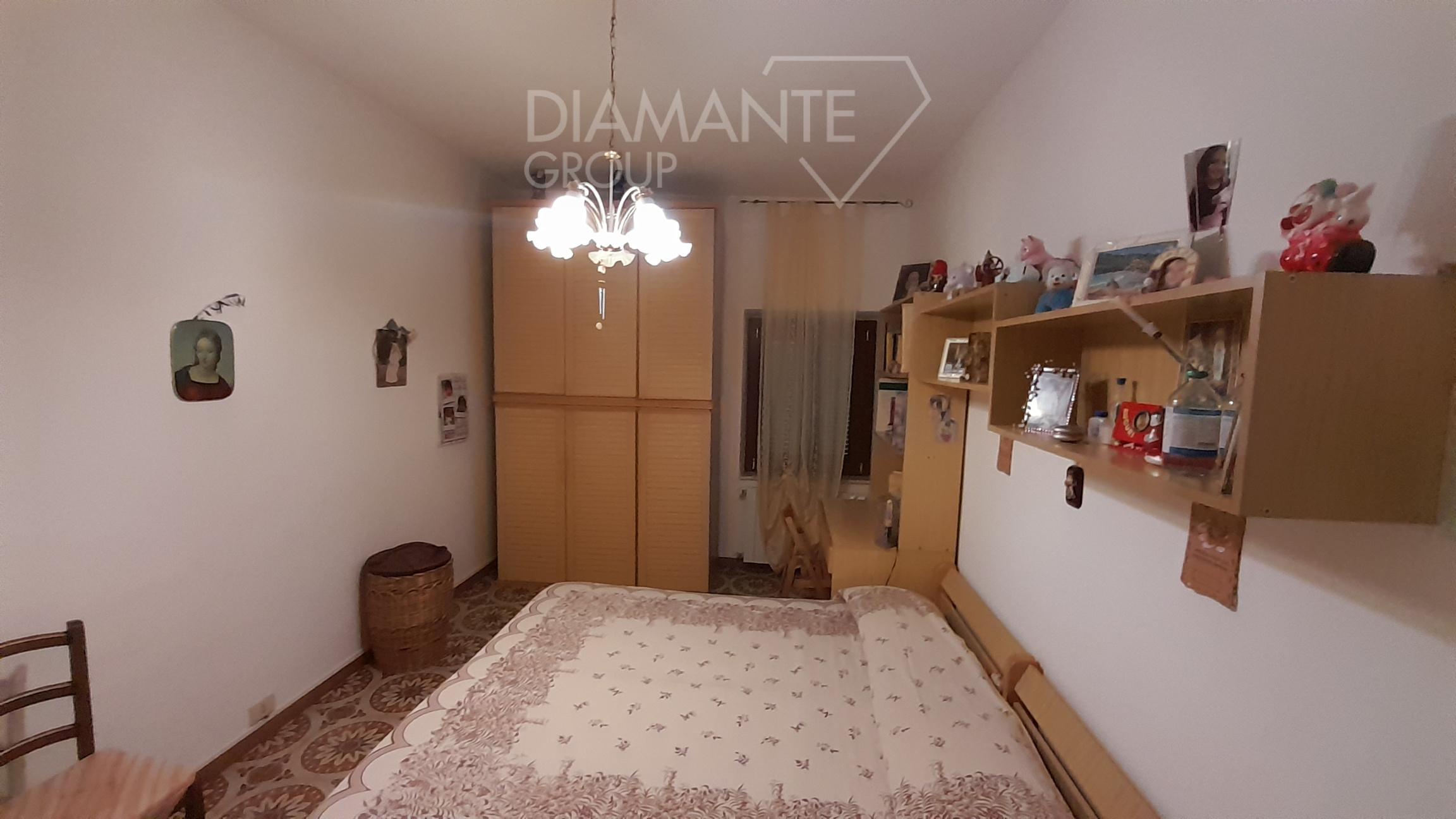 /api/file/public/231551/19542