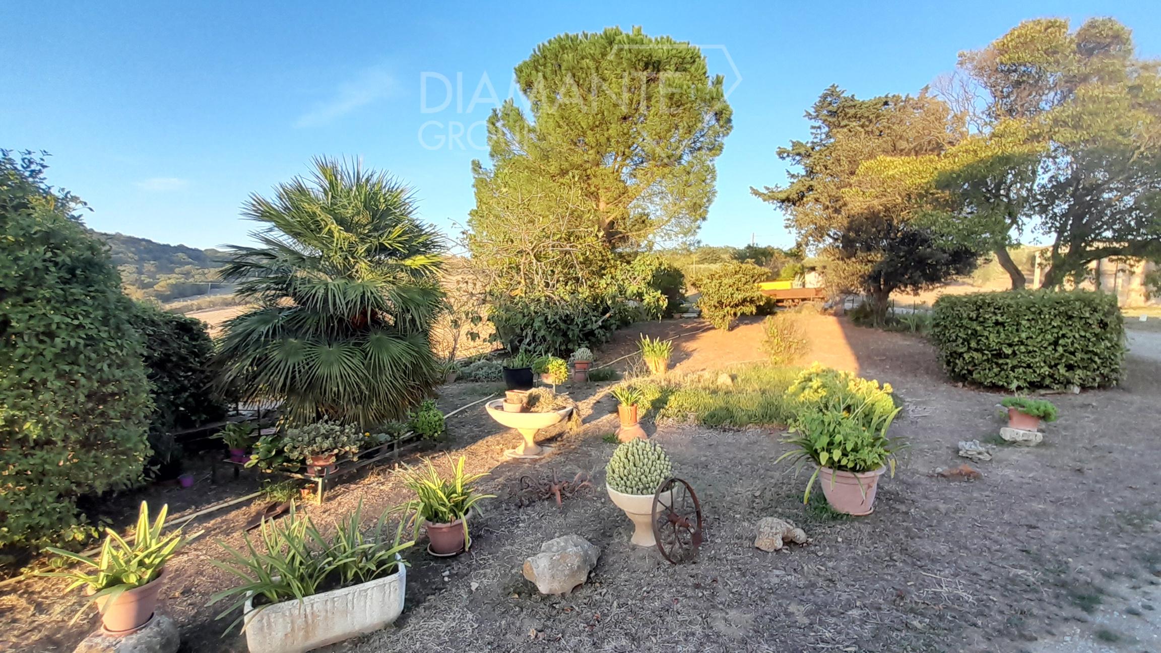 /api/file/public/231551/19543