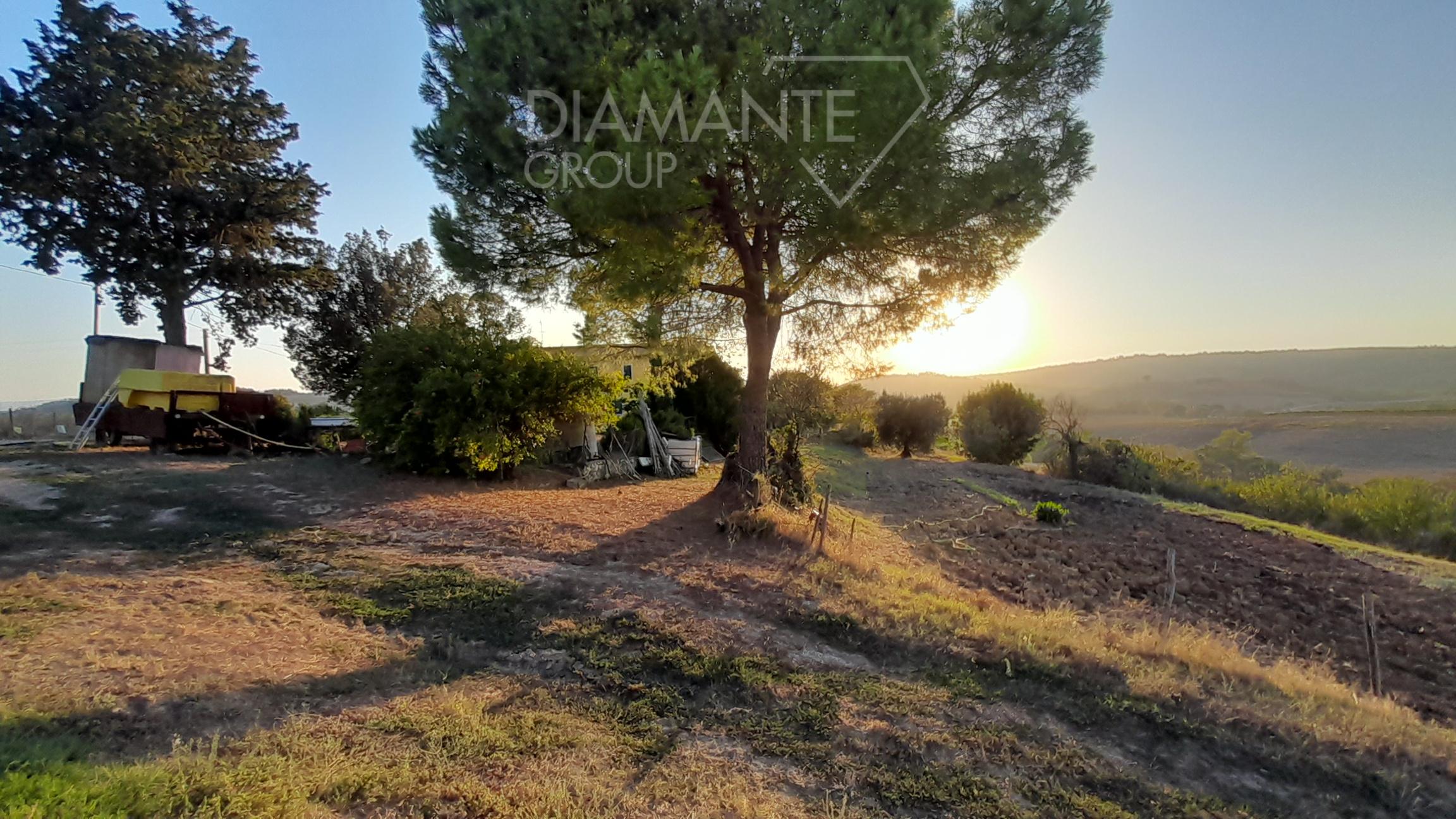 /api/file/public/231551/19544