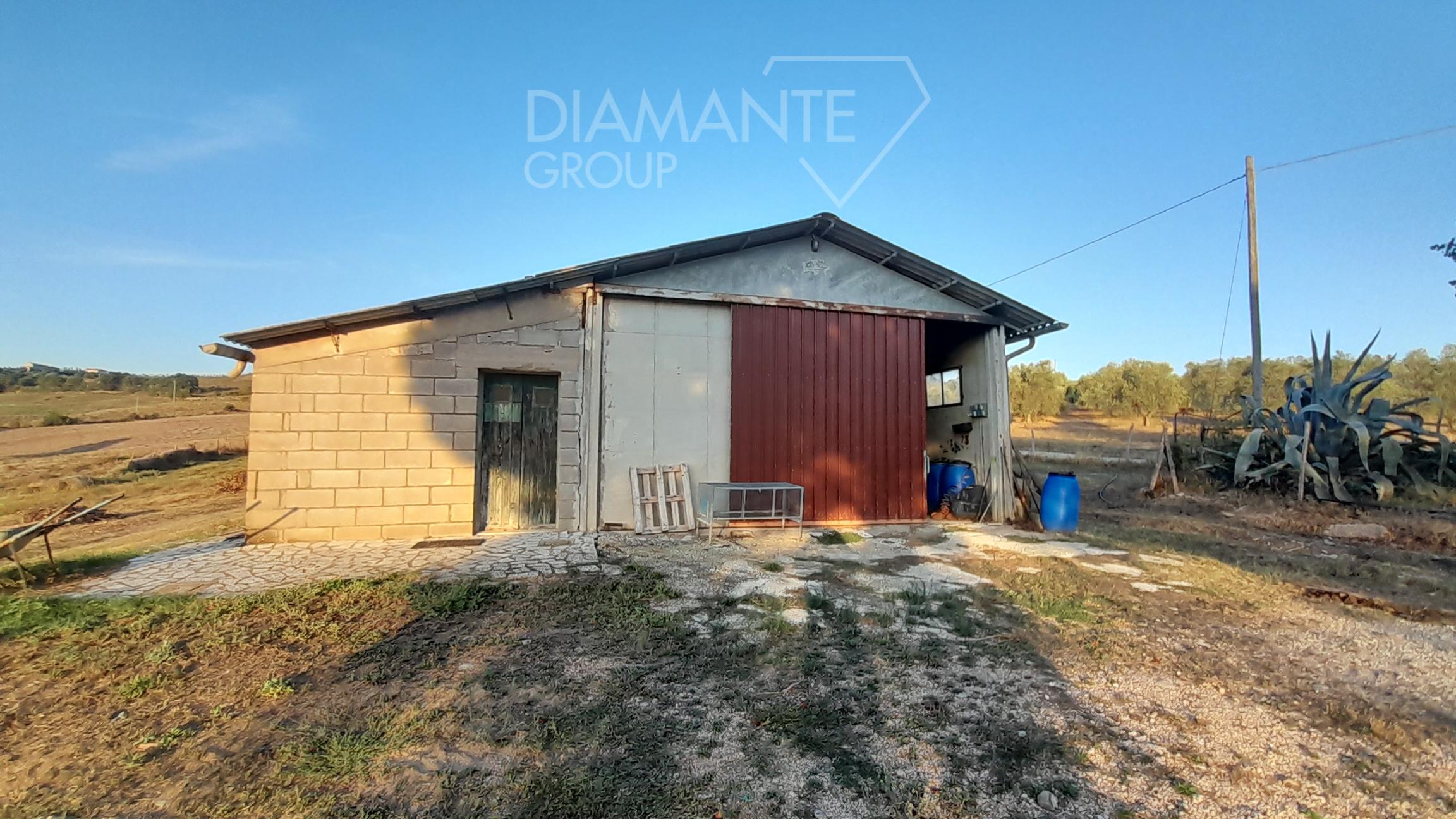 /api/file/public/231551/19545