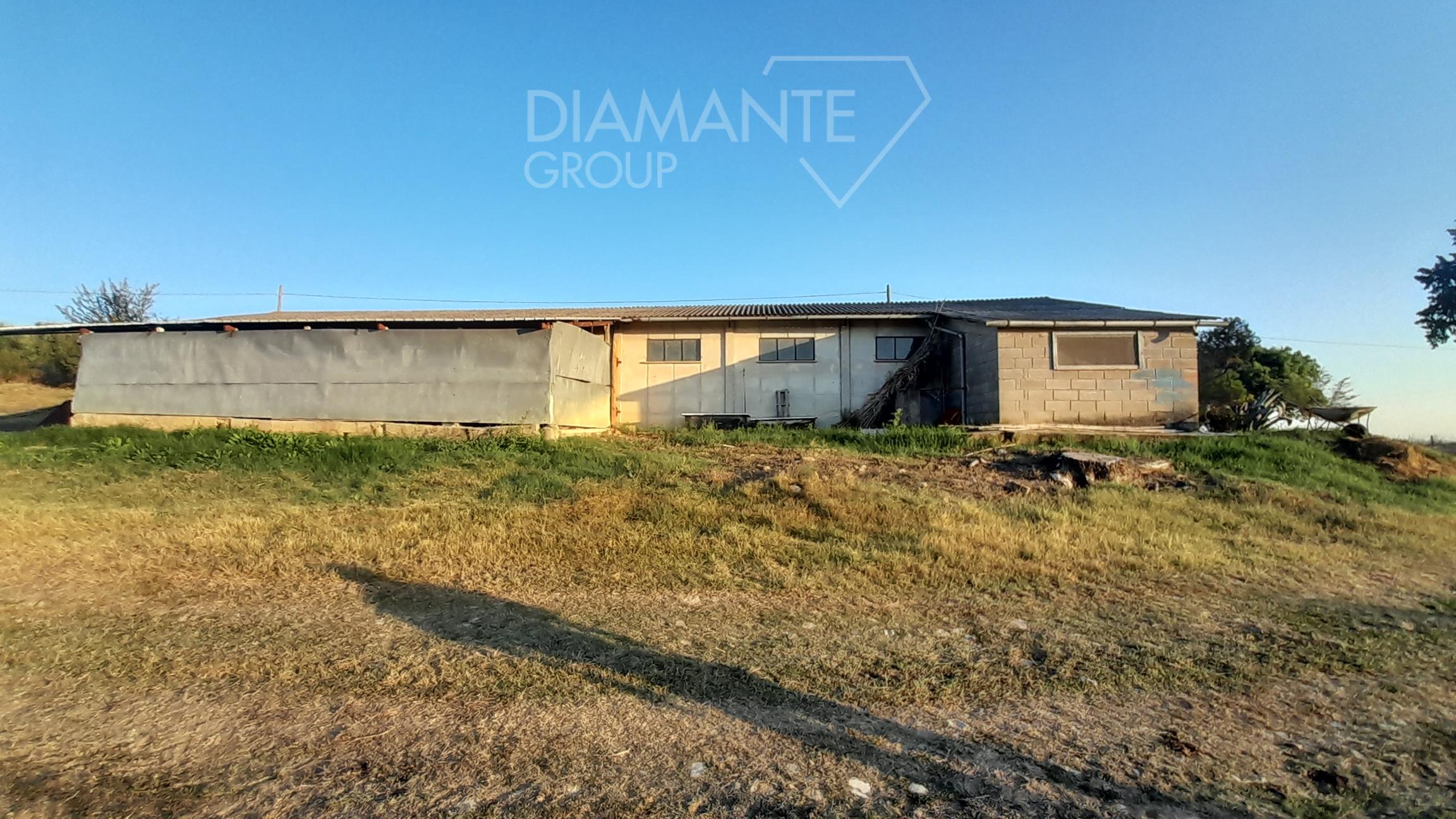 /api/file/public/231551/19546