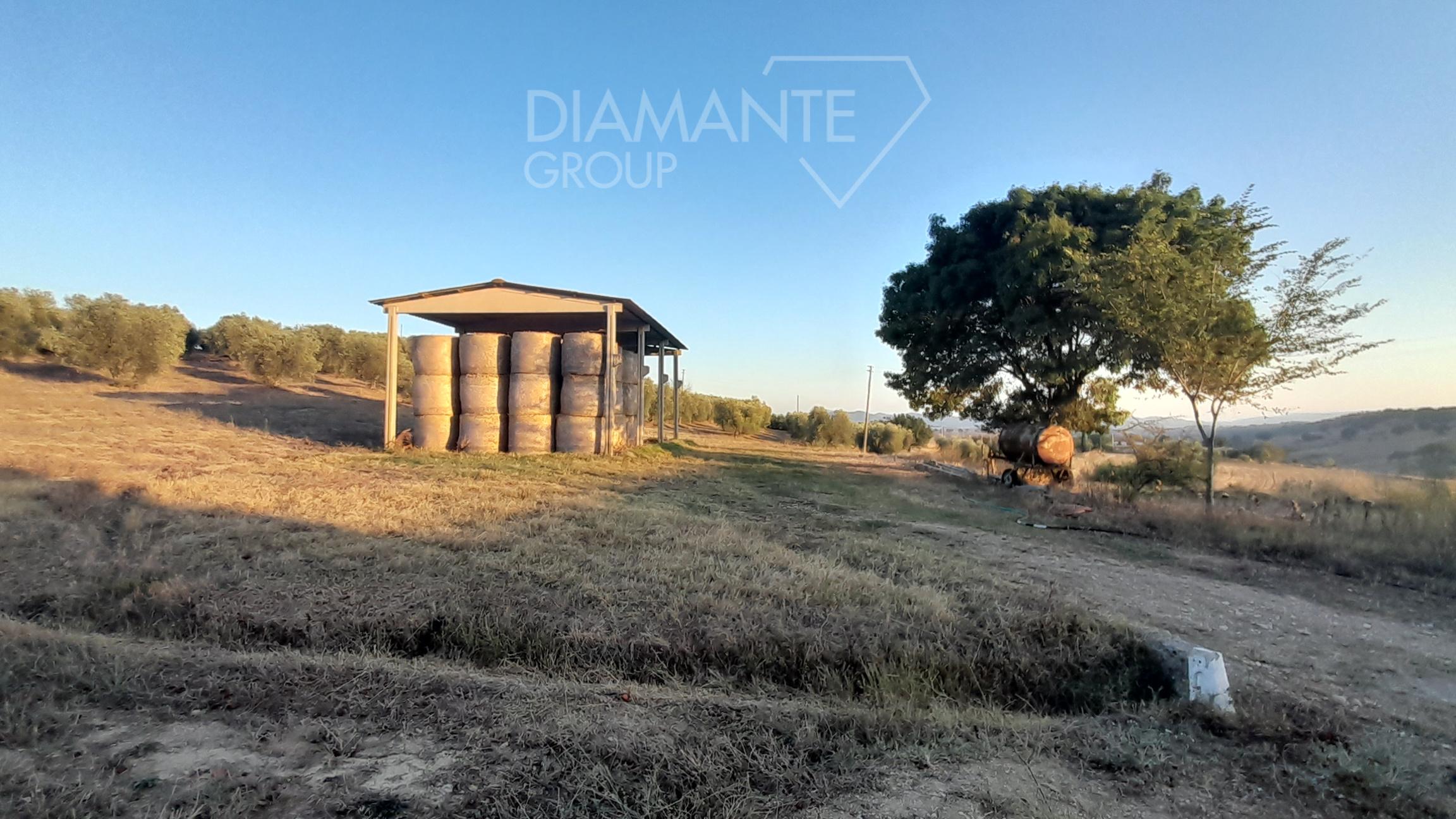 /api/file/public/231551/19547