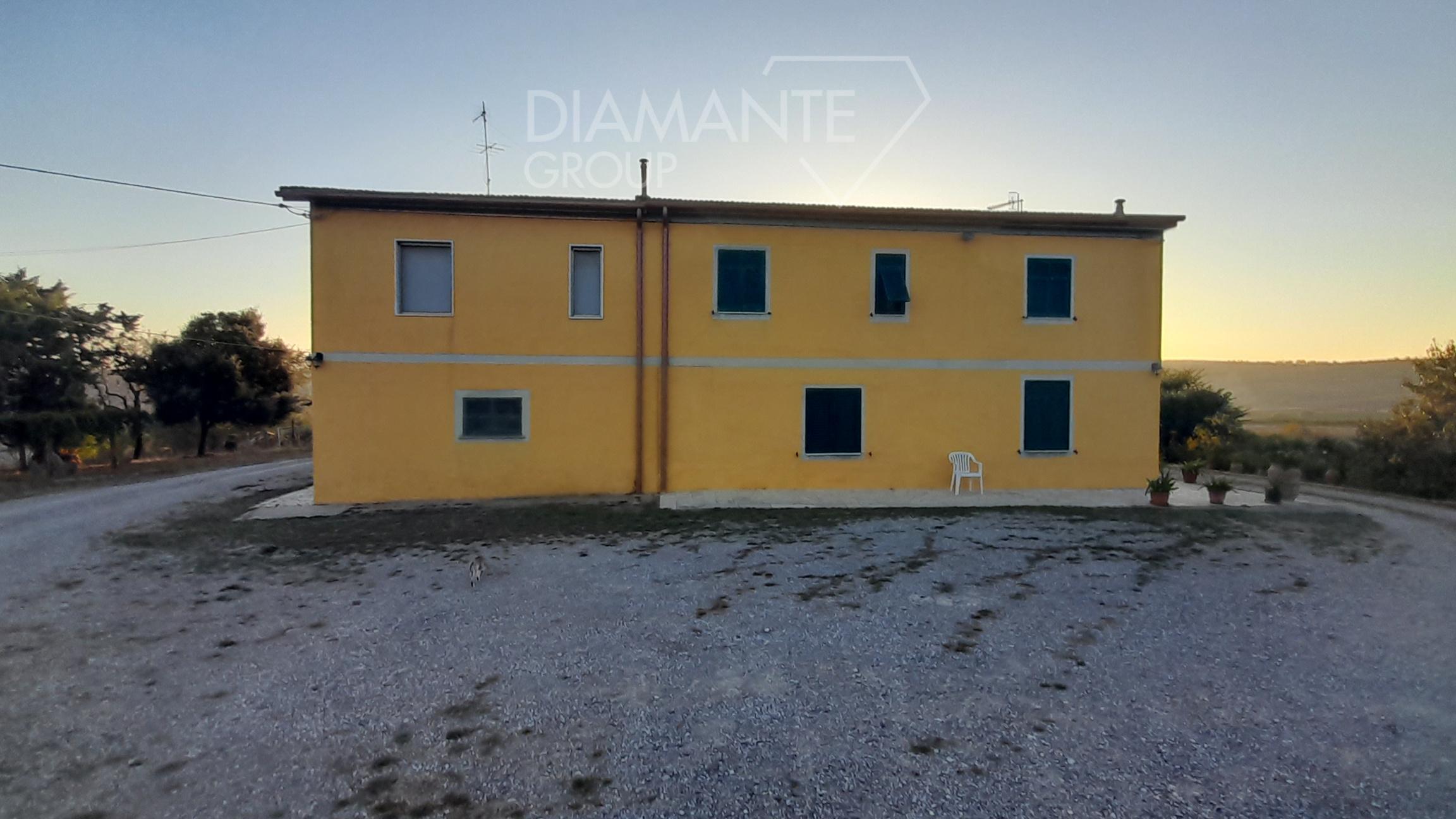 /api/file/public/231551/19548