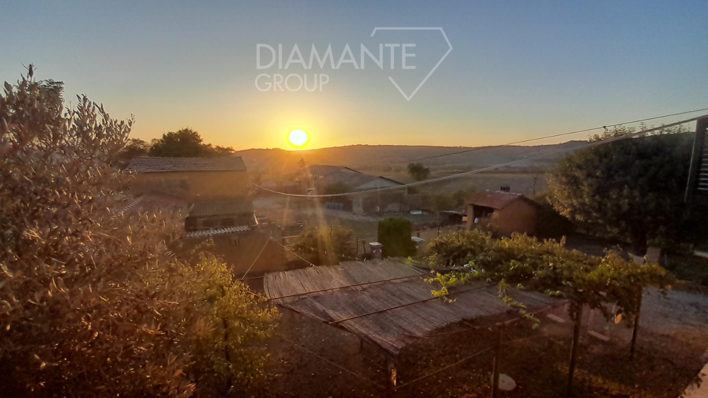 /api/file/public/231551/19549