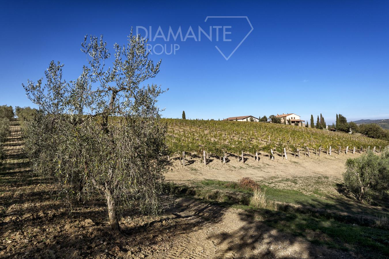 /api/file/public/231601/28407