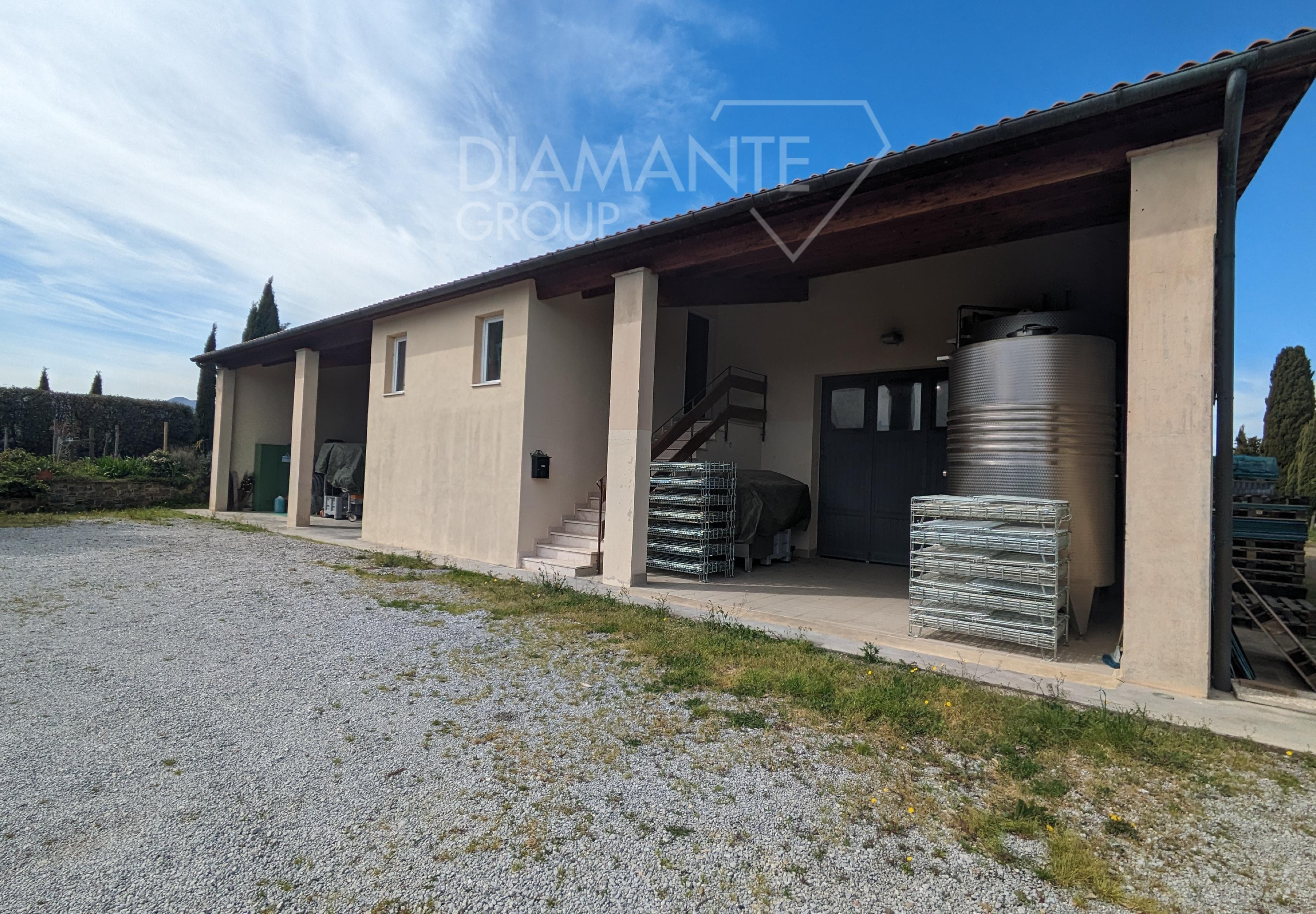 /api/file/public/231601/28408