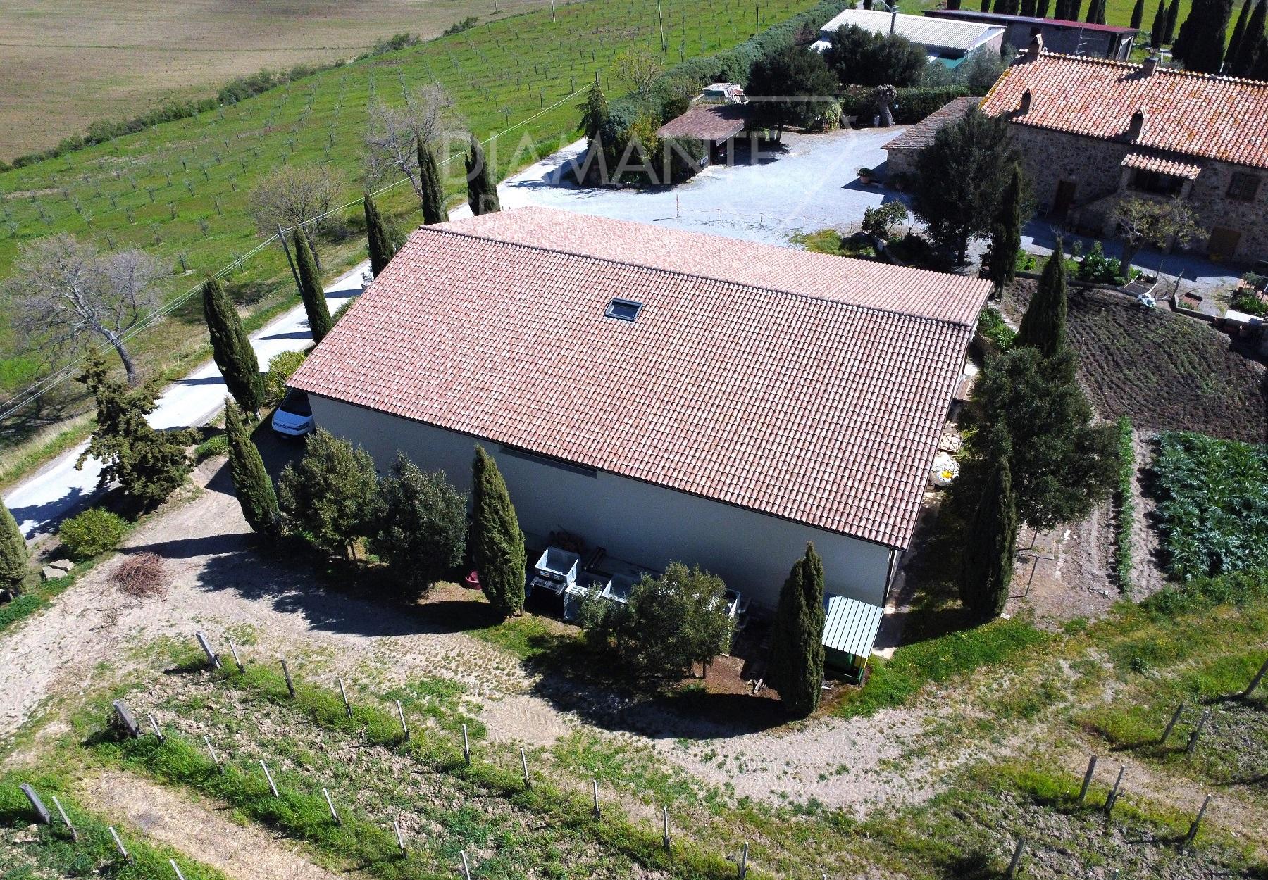 /api/file/public/231601/28409