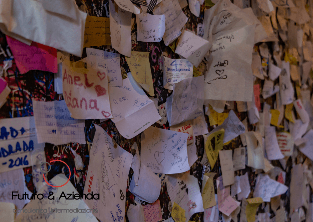 /api/file/public/236801/19969