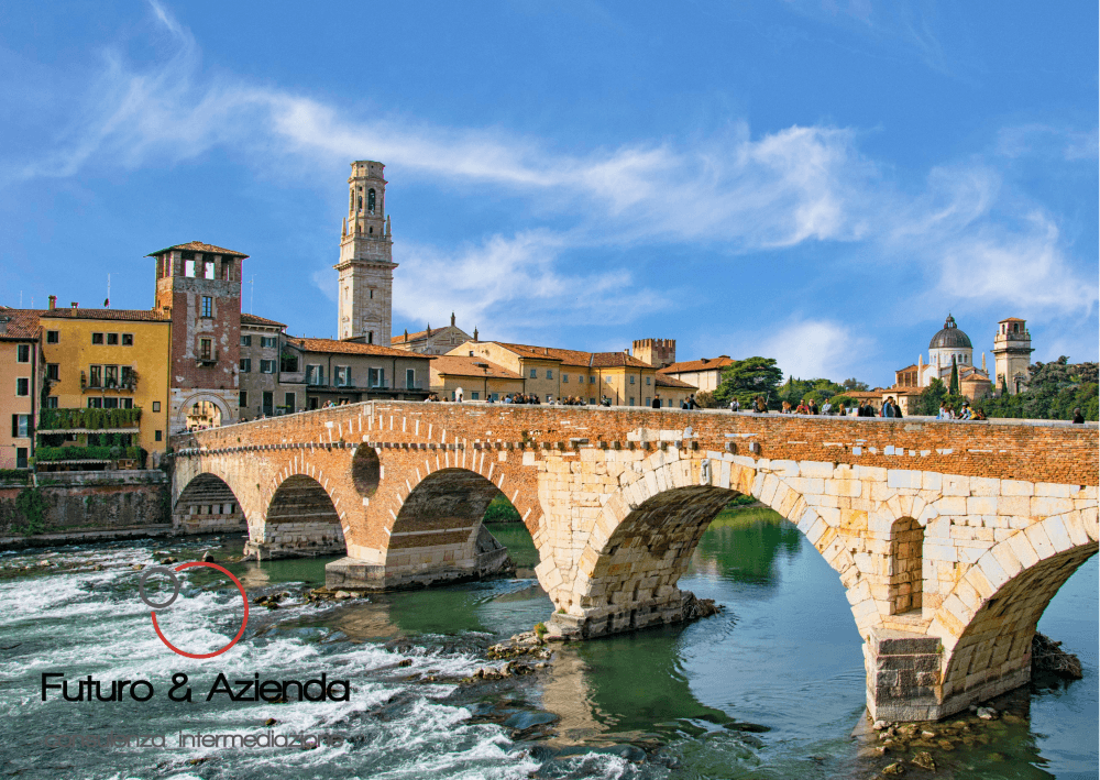 /api/file/public/236801/19971