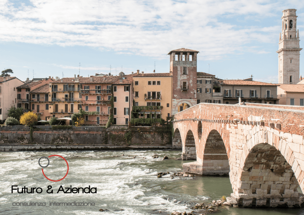 /api/file/public/236801/19972